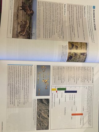 Proyecto: FanFest - Biología, Geología y Cienci...