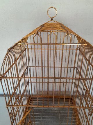 Jaula para loro dorada