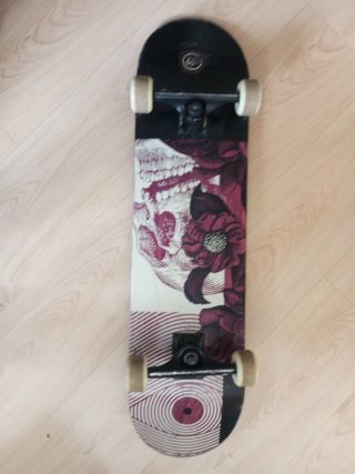 Skate echo por piezas