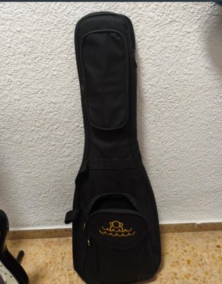Guitarra Eléctrica stratocaster Jay turser