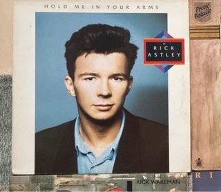 Rick Astley - Hold Me In Your Arms Vinilo