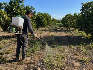 Aplicación de herbicidas y control de mala hierba