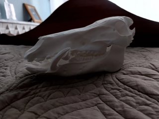 Réplica Cráneo 3D
