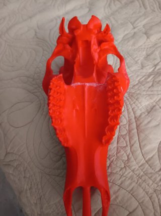 Réplica Cráneo 3D