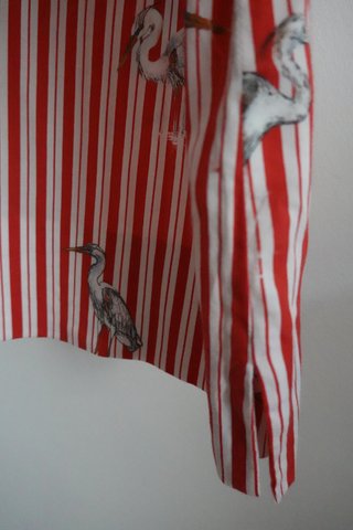 Blusa Zara Rayas Rojas Estampado Aves