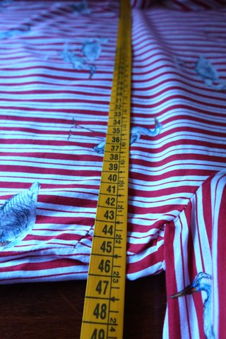 Blusa Zara Rayas Rojas Estampado Aves