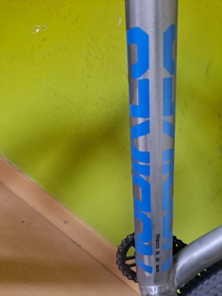 Bici Dirt NS Bikes