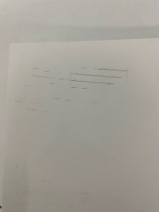 Impresora Epson L1800 DTF