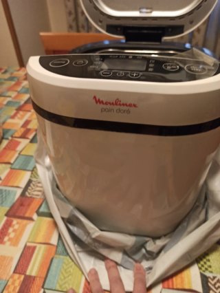 Panificadora Moulinex Nueva. Usada cuatro veces.