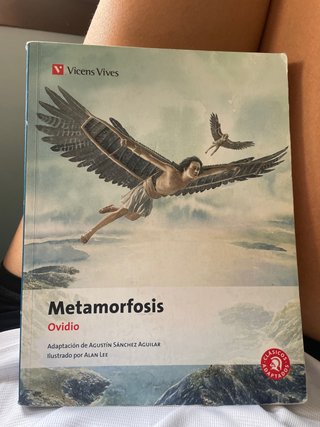 14. Metamorfosis