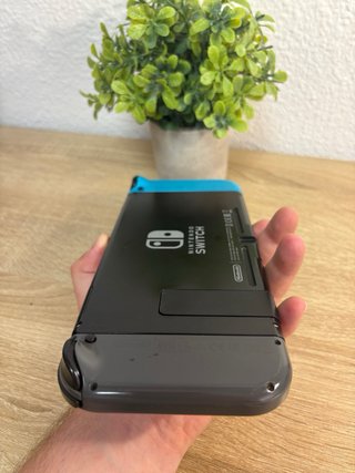 Nintendo Switch Blu e Grigio