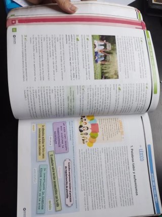 Lengua Castellana, 3 ESO, Programa Carmen de Bu...