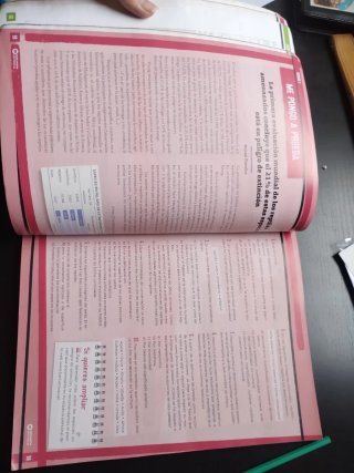 Lengua Castellana, 3 ESO, Programa Carmen de Bu...