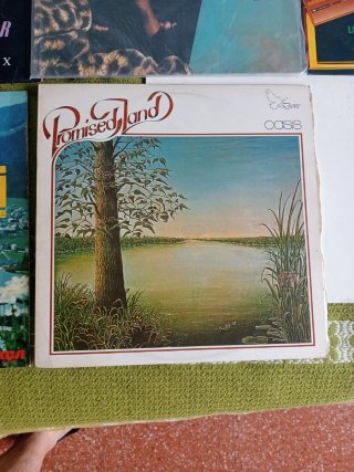 Lote Vinilos Lp Varios Géneros
