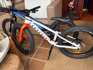 Bicicleta Infantil Commencal Ramones 20