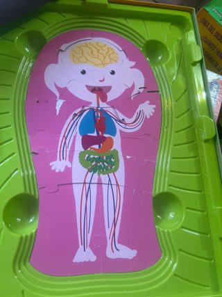 Juego Clementoni El Cuerpo Humano