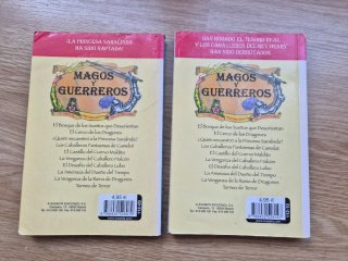 Lote 2 libros serie Magos y Guerreros