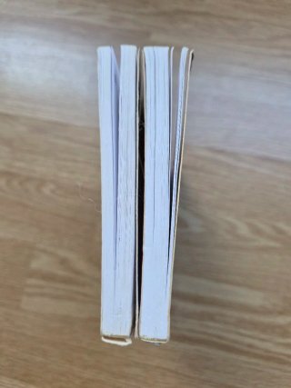 Lote 2 libros serie Magos y Guerreros