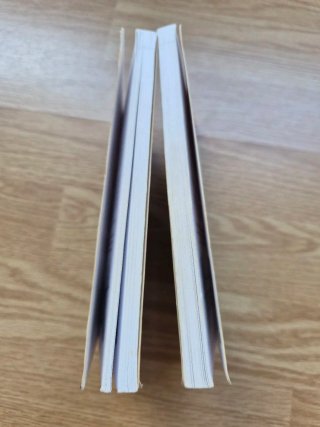 Lote 2 libros serie Magos y Guerreros