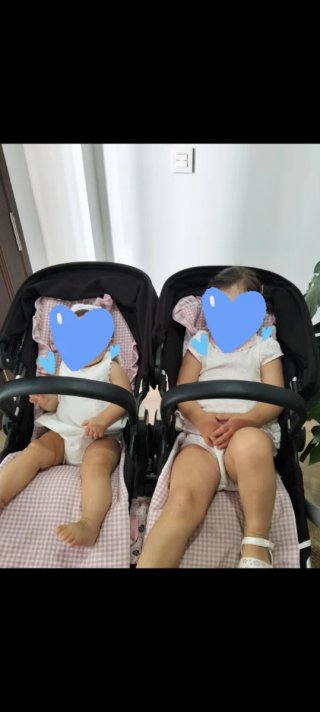 Carro gemelar Bugaboo