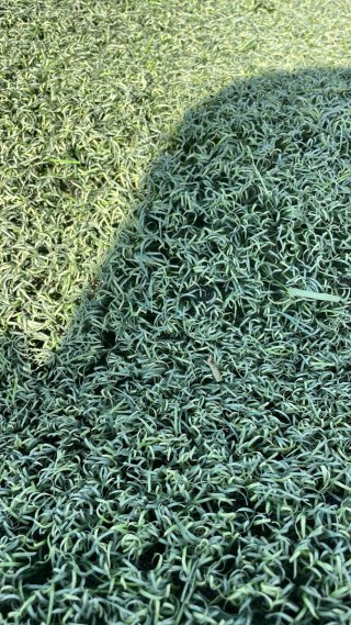 Césped Artificial Reciclado Verde