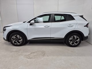 KIA SPORTAGE BUSINESS MHEV 1.6 TGDI 160CV DCT 4X2