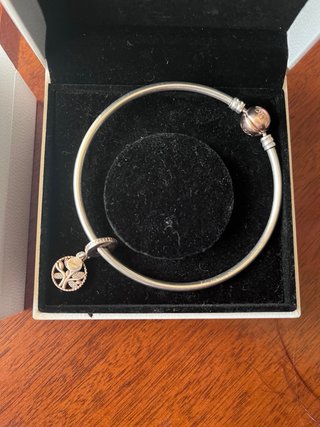 Pulsera Pandora Moments Plata y Charm