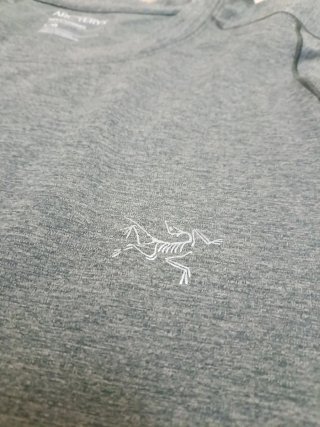 Maglia Tecnica Arc'teryx Uomo Taglia L Grigia