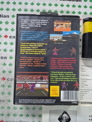 Budokan: The Martial Spirit Mega Drive