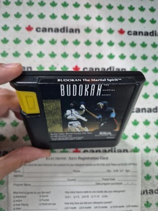 Budokan: The Martial Spirit Mega Drive