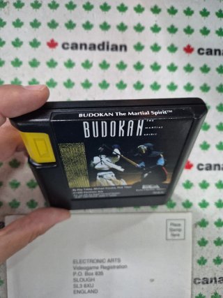 Budokan: The Martial Spirit Mega Drive