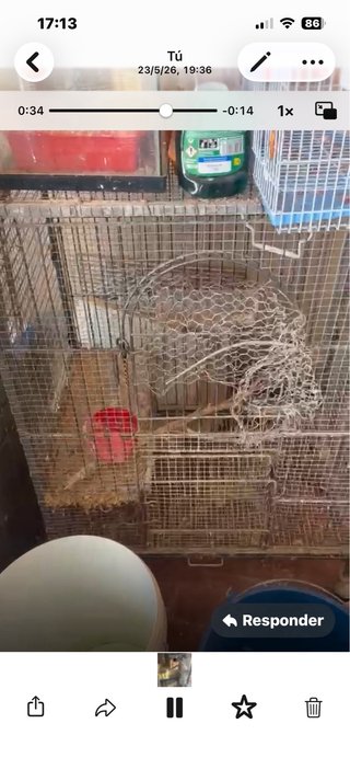3 Jaulas Económicas para Pájaros