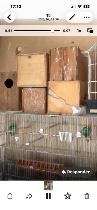 3 Jaulas Económicas para Pájaros