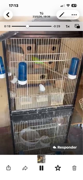 3 Jaulas Económicas para Pájaros