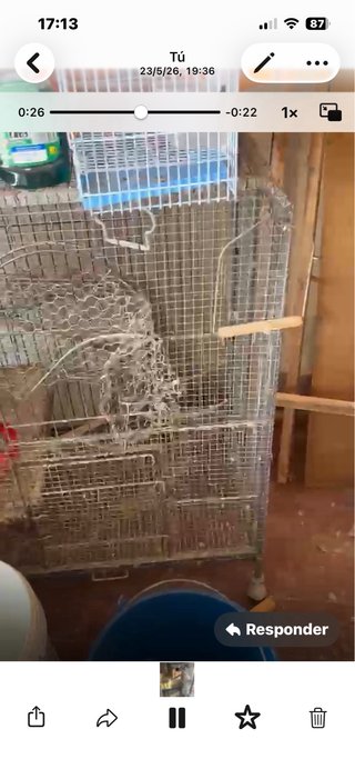 3 Jaulas Económicas para Pájaros