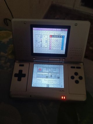 Nintendo DS Argento + Gioco Brain Training