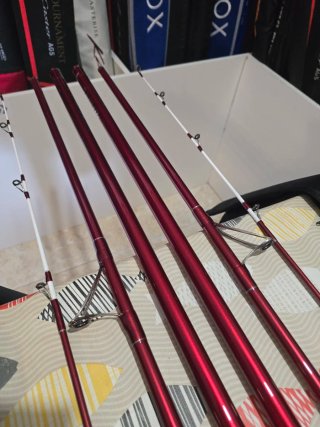 CAÑAS DAIWA TOURNAMENT CASTER II 33-425H