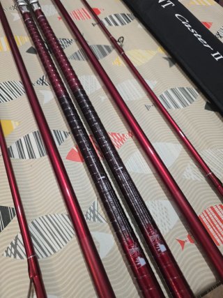 CAÑAS DAIWA TOURNAMENT CASTER II 33-425H
