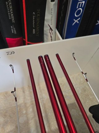 CAÑAS DAIWA TOURNAMENT CASTER II 33-425H