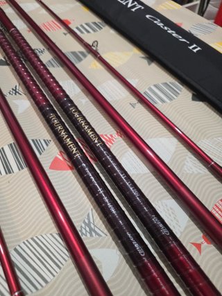 CAÑAS DAIWA TOURNAMENT CASTER II 33-425H