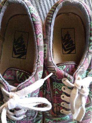 Zapatillas Vans Multicolor