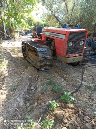 Tractor Massey Ferguson 174 C Oruga