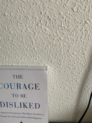 The courage to be disliked