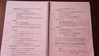 Apuntes Fundamentos del Derecho Constitucional.