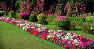 Jardinería