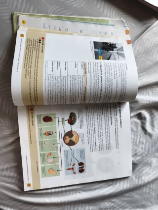 Biologia i geologia, ESO 3