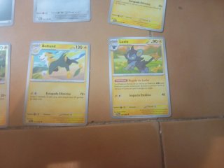Lote de Cartas Pokémon