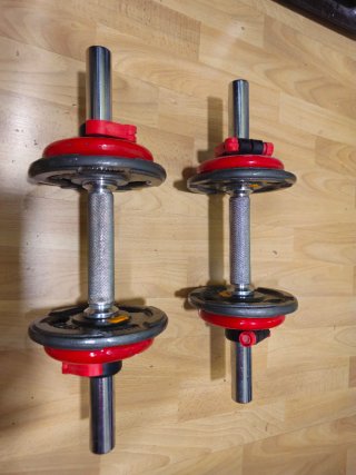 Mancuernas ajustables con discos