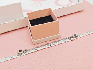 Cadena Seguridad Pandora Universo Plata S925