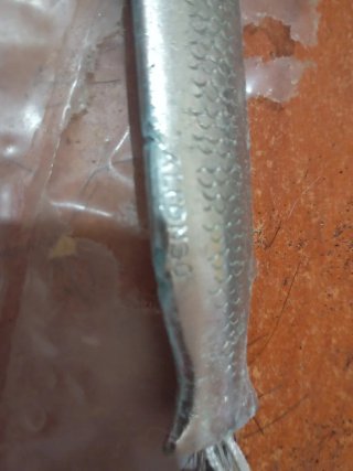 Señuelo de pesca marca Alfonso